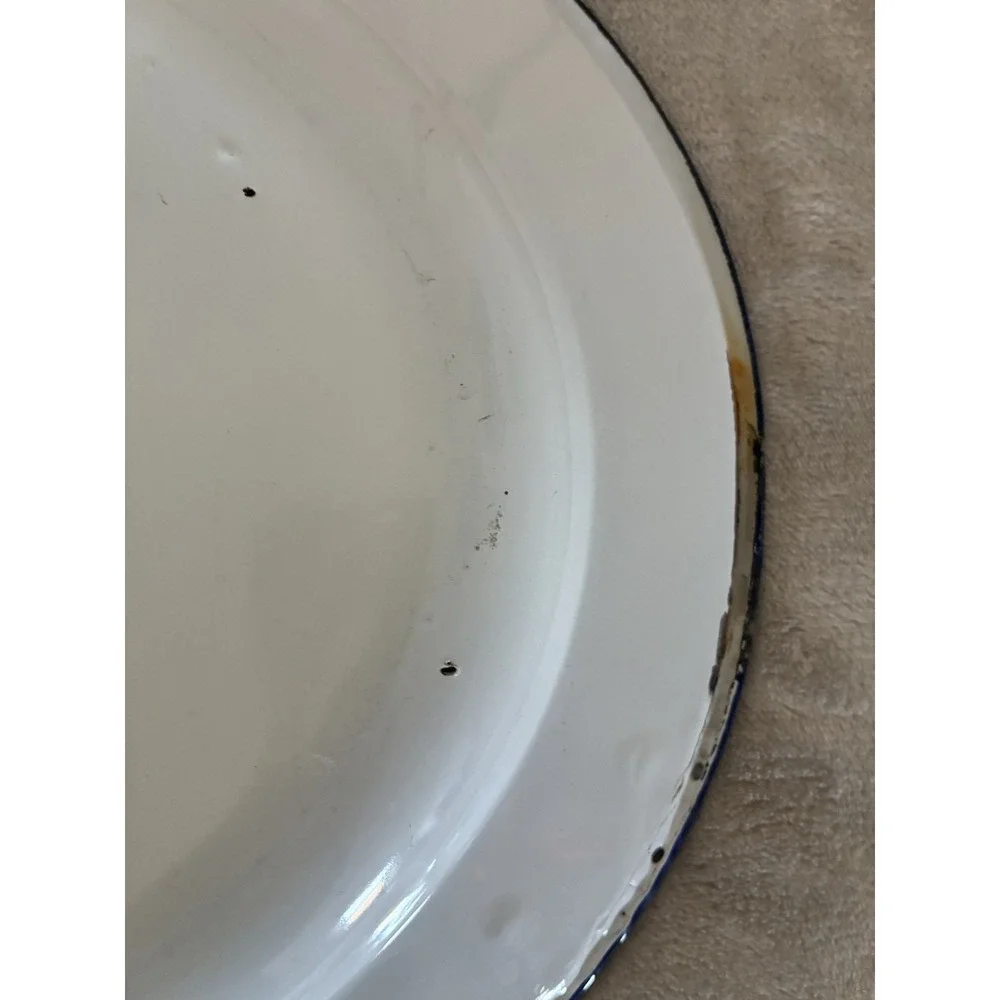 Enamelware Fruit Flowers Oval Serving Tray‎ Approx. 18x14